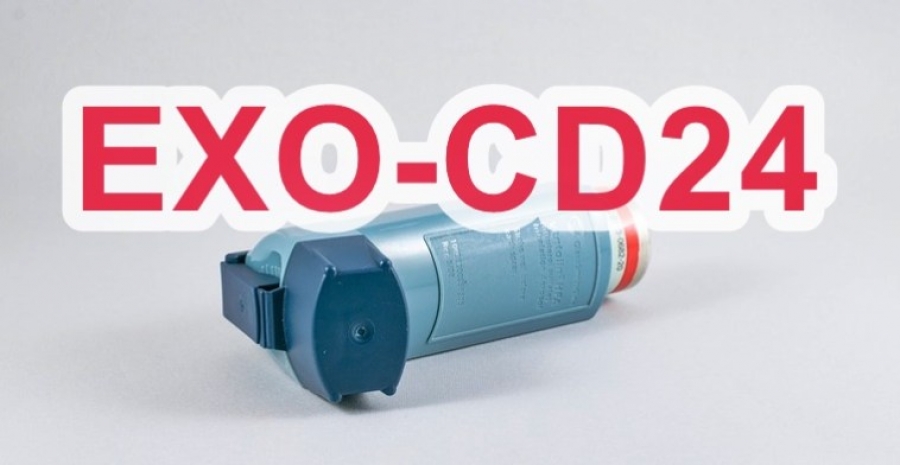 CD24